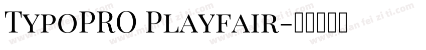 TypoPRO Playfair字体转换